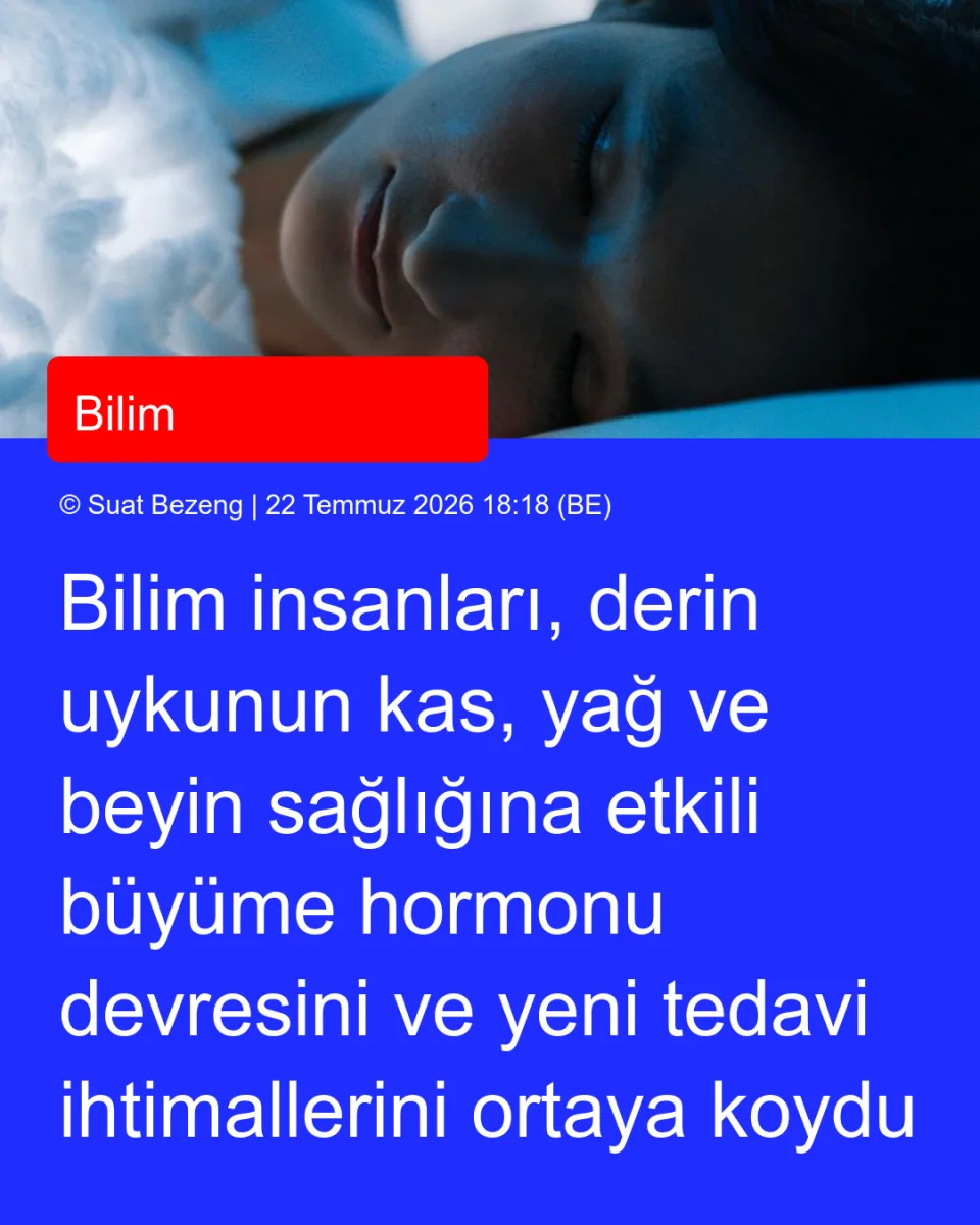 Bilim insanları, derin uykunun kas, yağ ve beyin sağlığına etkili büyüme hormonu devresini ve yeni tedavi ihtimallerini ortaya koydu