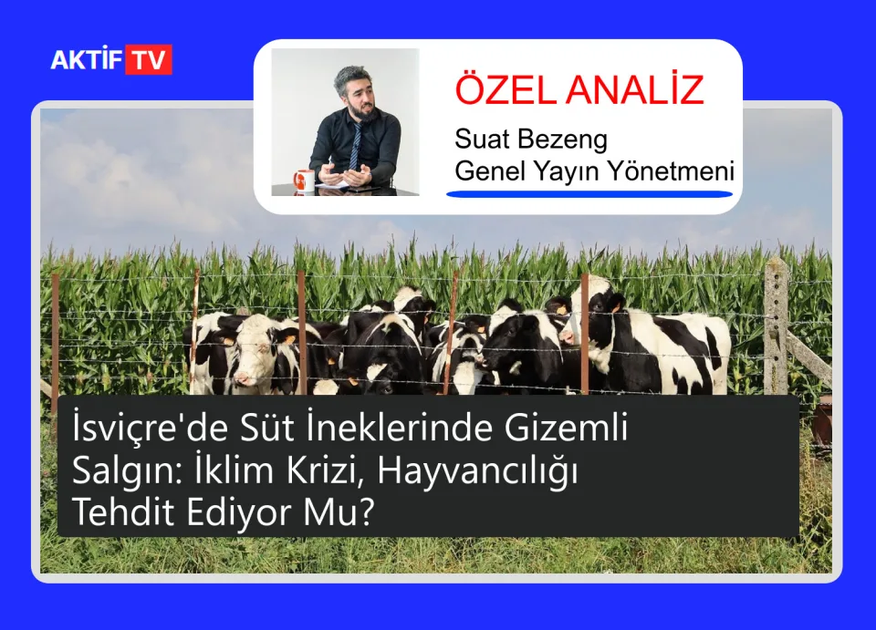 İsviçre'de Süt İneklerinde Gizemli Salgın: İklim Krizi, Hayvancılığı Tehdit Ediyor Mu?