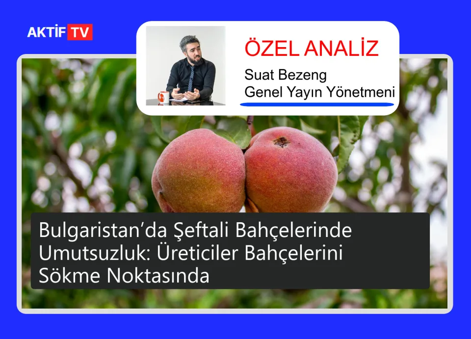 Bulgaristan’da Şeftali Bahçelerinde Umutsuzluk: Üreticiler Bahçelerini Sökme Noktasında