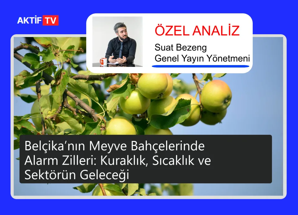 Belçika’nın Meyve Bahçelerinde Alarm Zilleri: Kuraklık, Sıcaklık ve Sektörün Geleceği