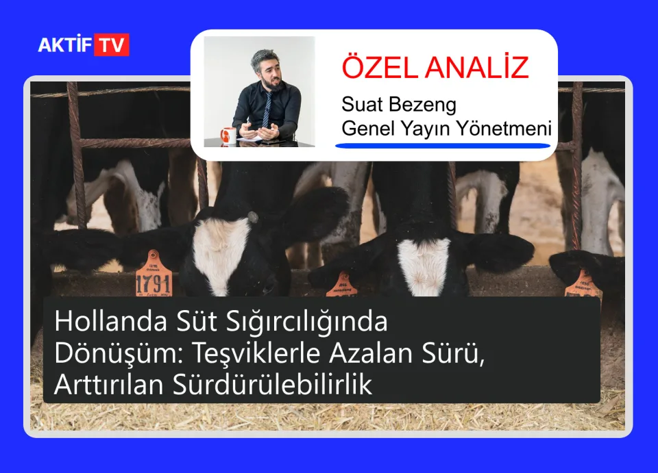 Hollanda Süt Sığırcılığında Dönüşüm: Teşviklerle Azalan Sürü, Arttırılan Sürdürülebilirlik