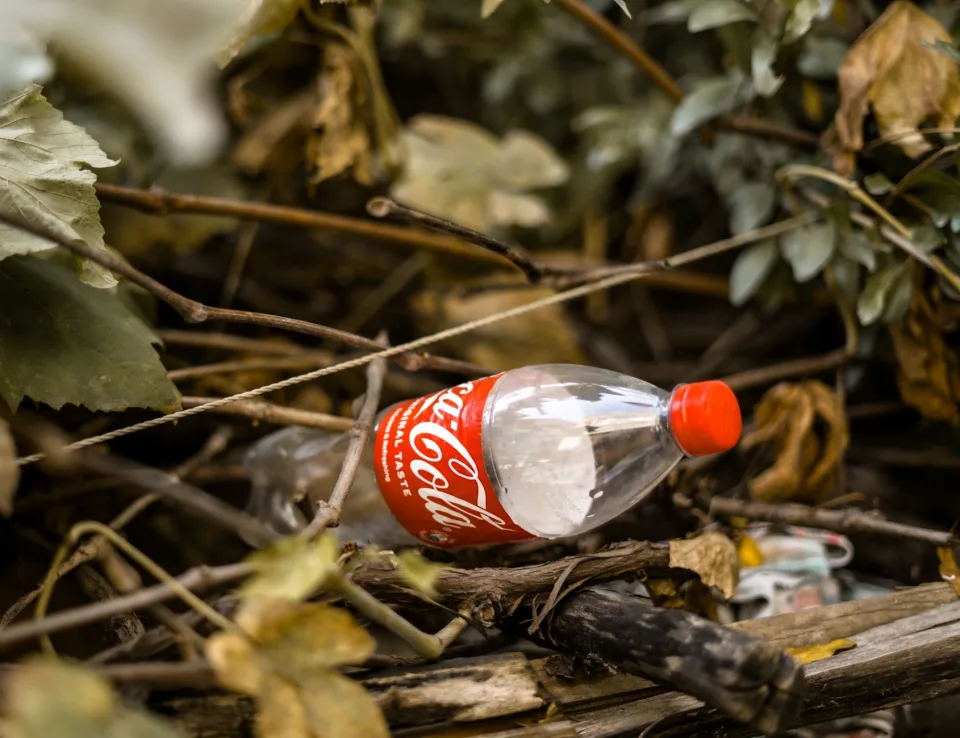 Tidig insats mot engångsprodukter kan bromsa plastföroreningar och skona miljön långsiktigt