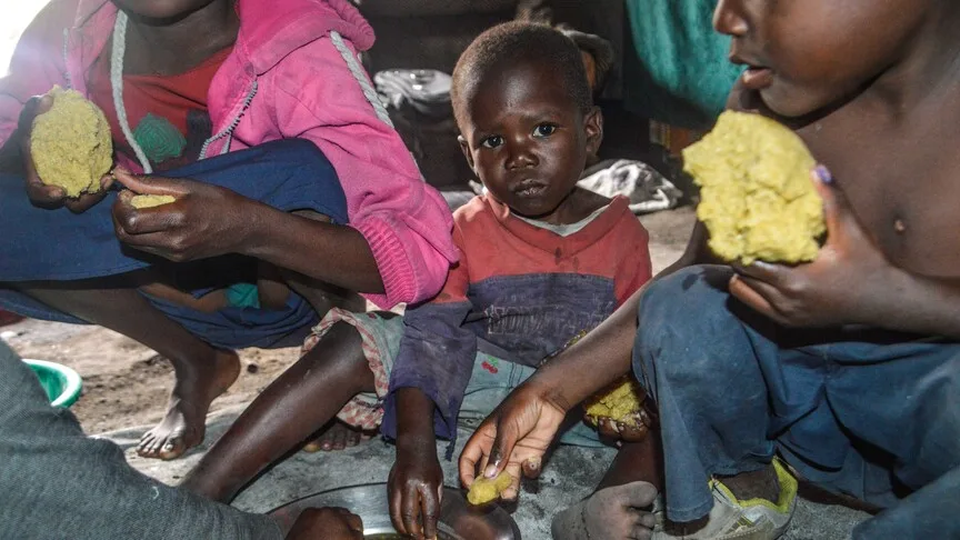 Ebola Salgını Kongo Demokratik Cumhuriyeti’nde Gıda Krizini Kötüleştiriyor