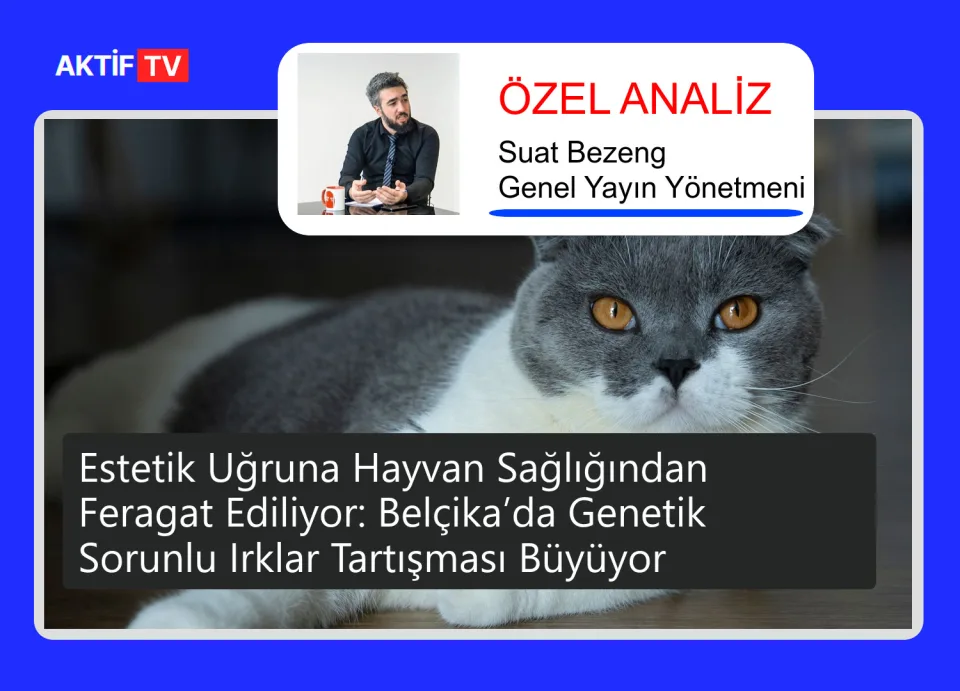 Estetik Uğruna Hayvan Sağlığından Feragat Ediliyor: Belçika’da Genetik Sorunlu Irklar Tartışması Büyüyor