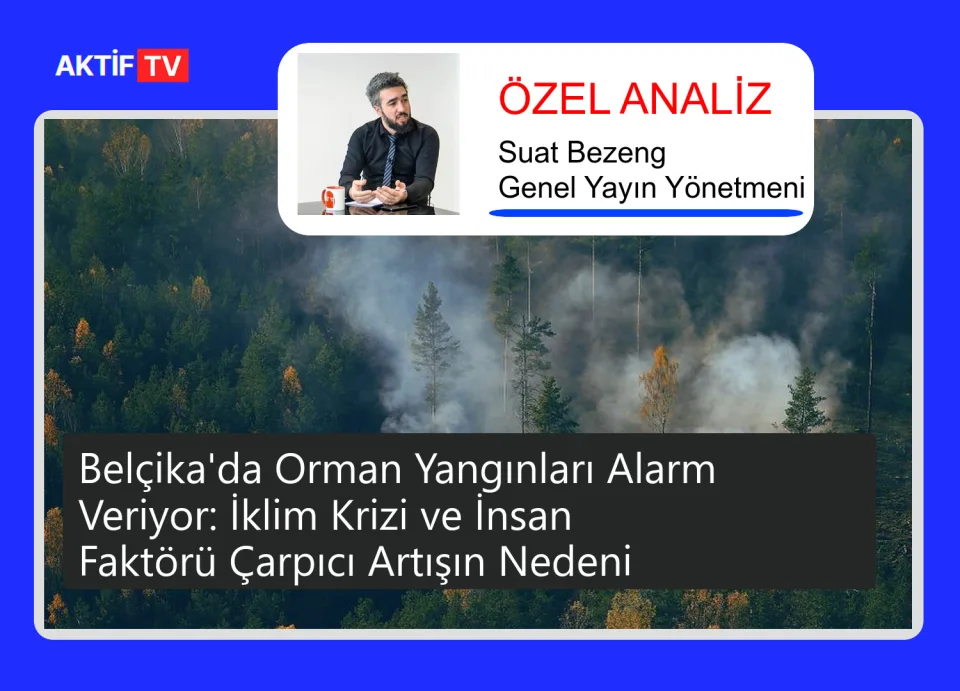Belçika'da Orman Yangınları Alarm Veriyor: İklim Krizi ve İnsan Faktörü Çarpıcı Artışın Nedeni