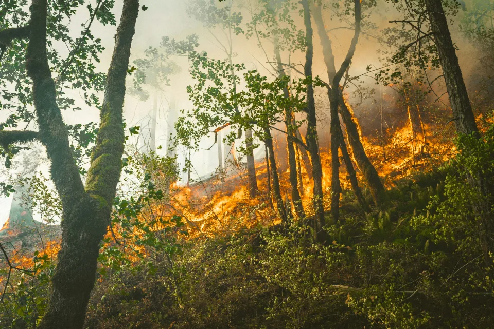 Schimbarea climatică aduce riscuri uriașe de incendii forestiere în Franța
