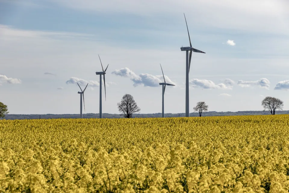 La part des énergies renouvelables dans l’Union européenne atteint un nouveau sommet en deux mille vingt-cinq
