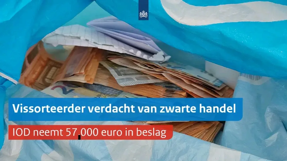 Hollanda'da balık şirketine yasa dışı ticaret soruşturması