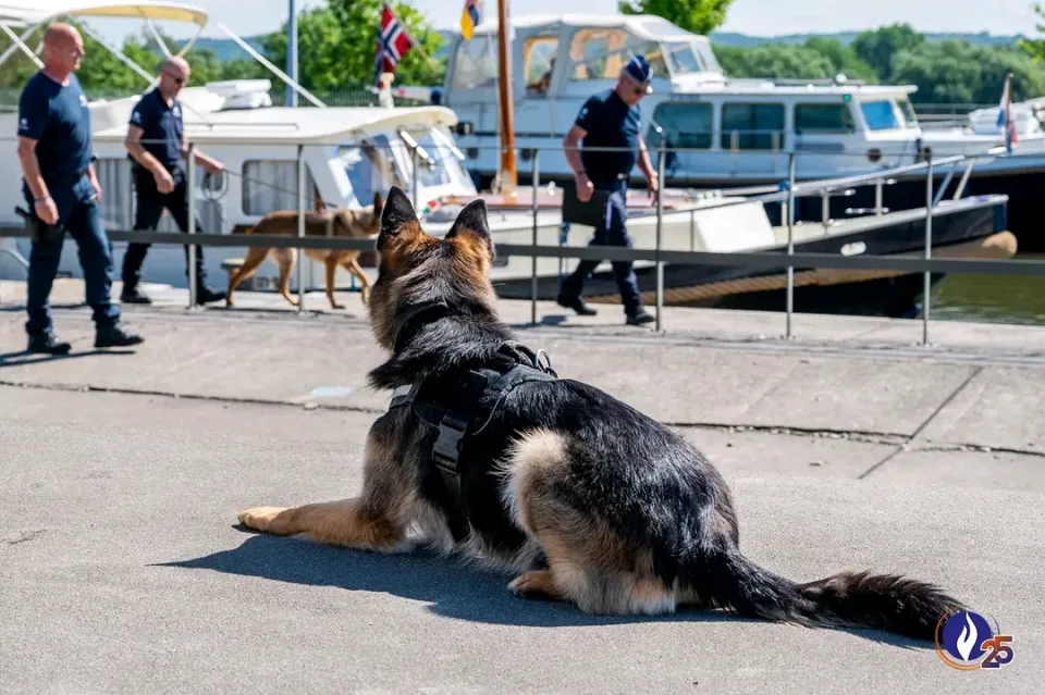 Belçika Federal Polisi Lanaye'de teknelerde geniş çaplı denetim yaptı