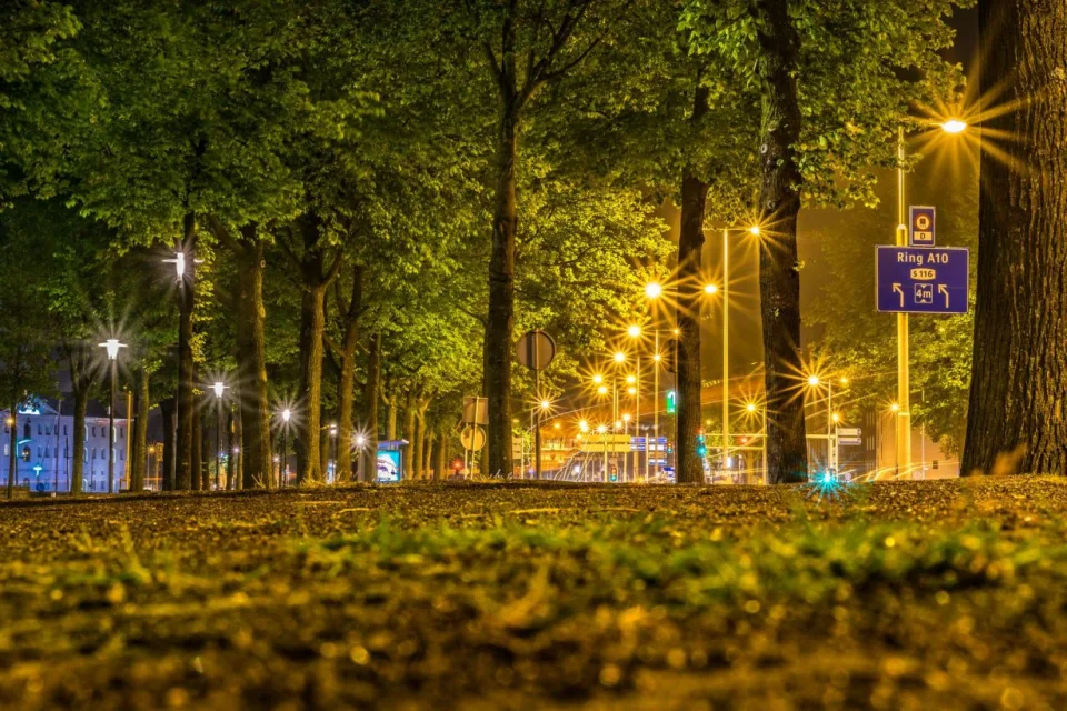 الليالي الاستوائية تزداد في هولندا بسبب تغير المناخ